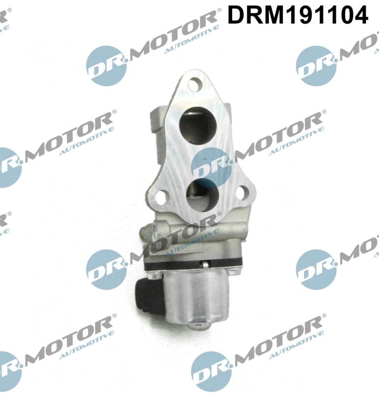 ERG vožtuvas Dr.Motor Automotive DRM191104