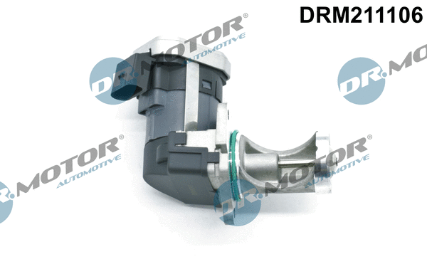 ERG vožtuvas Dr.Motor Automotive DRM211106