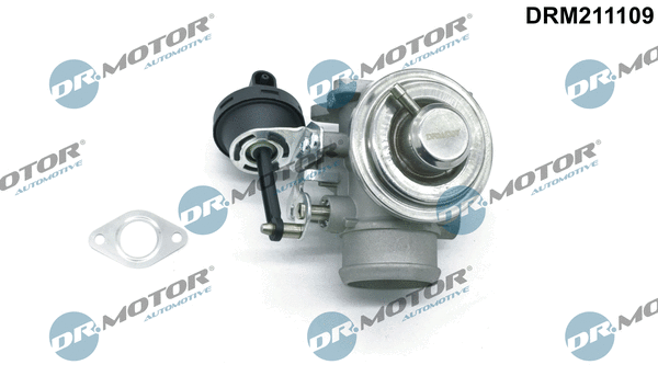ERG vožtuvas Dr.Motor Automotive DRM211109