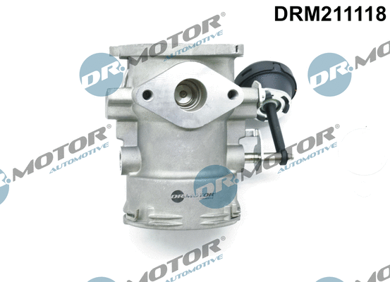 ERG vožtuvas Dr.Motor Automotive DRM211118