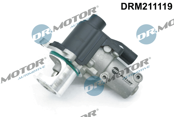 ERG vožtuvas Dr.Motor Automotive DRM211119