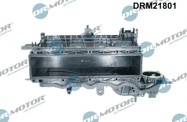 Įsiurbimo kolektoriaus modulis Dr.Motor Automotive DRM21801