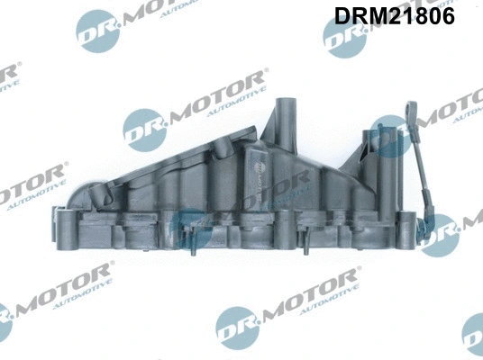 Įsiurbimo kolektoriaus modulis Dr.Motor Automotive DRM21806