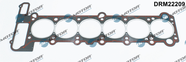 Cilindro galvos tarpinė Dr.Motor Automotive DRM22209