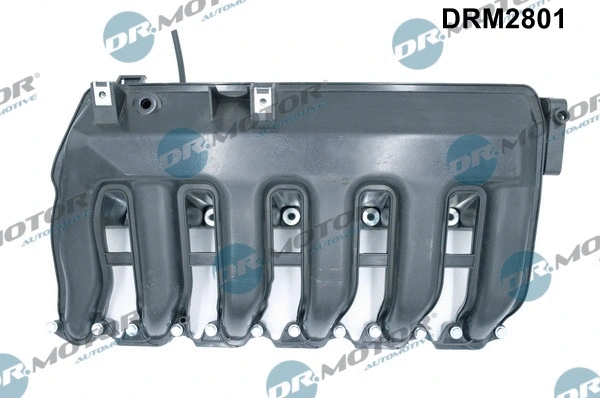 Įsiurbimo kolektoriaus modulis Dr.Motor Automotive DRM2801