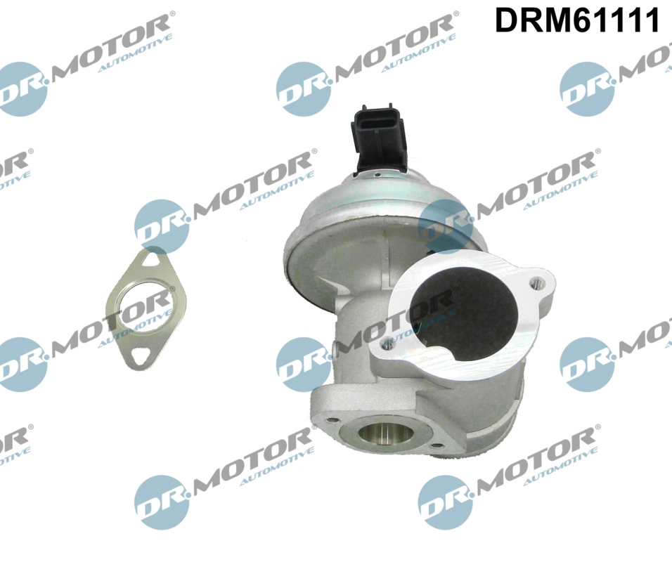 ERG vožtuvas Dr.Motor Automotive DRM61111