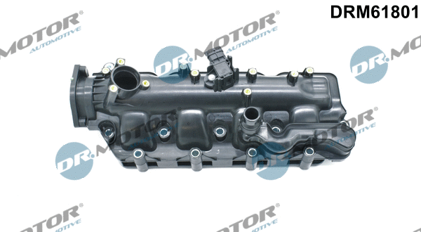 Įsiurbimo kolektoriaus modulis Dr.Motor Automotive DRM61801