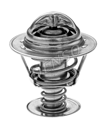 Termostatas DENSO DTM82213