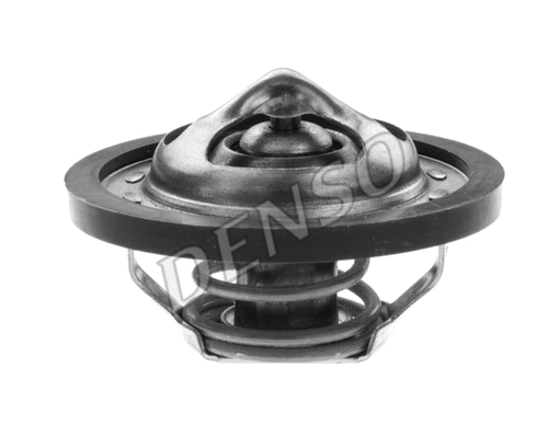 Termostatas DENSO DTM95457