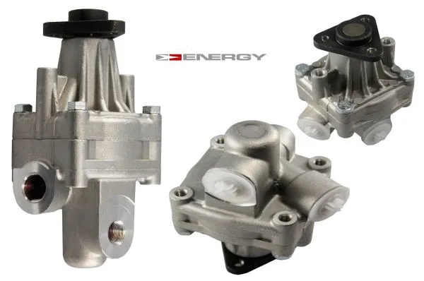 Vairo sistemos hidraulinis siurblys ENERGY PW680100