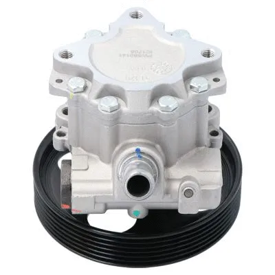 Vairo sistemos hidraulinis siurblys ENERGY PW680141