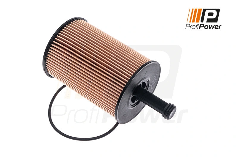 Alyvos filtras ProfiPower 1F0001