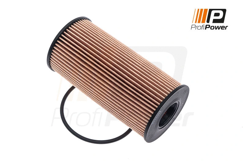 Alyvos filtras ProfiPower 1F0021