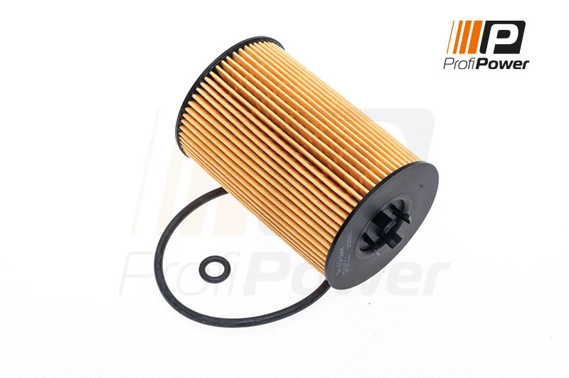 Alyvos filtras ProfiPower 1F0022