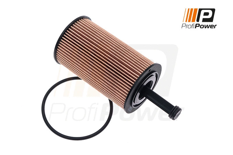 Alyvos filtras ProfiPower 1F0039
