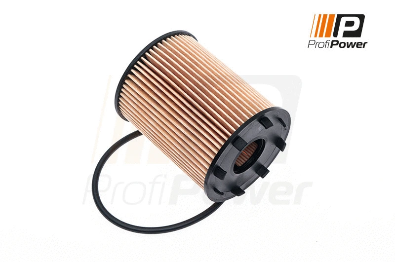 Alyvos filtras ProfiPower 1F0043