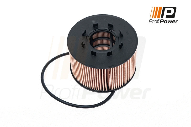 Alyvos filtras ProfiPower 1F0046