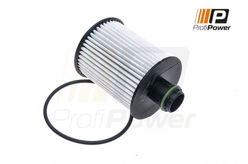 Alyvos filtras ProfiPower 1F0055