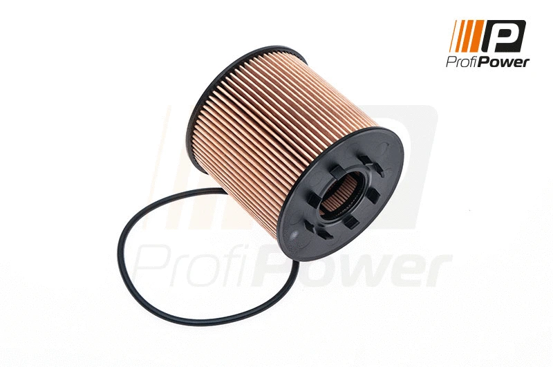 Alyvos filtras ProfiPower 1F0066