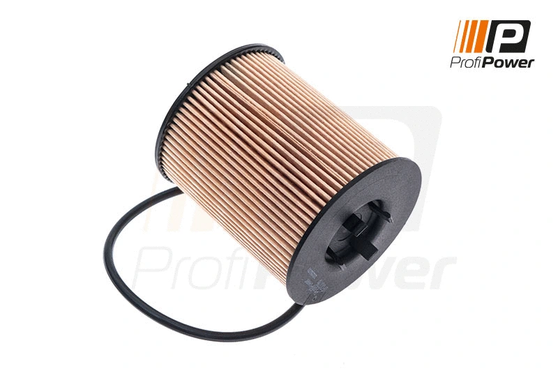 Alyvos filtras ProfiPower 1F0076