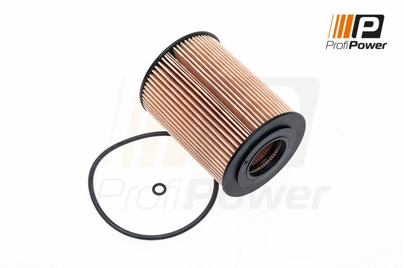Alyvos filtras ProfiPower 1F0081