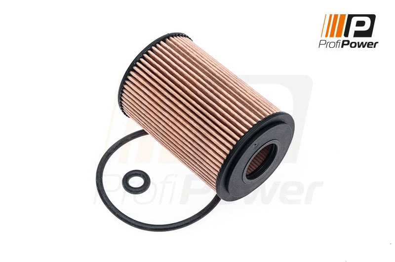 Alyvos filtras ProfiPower 1F0091