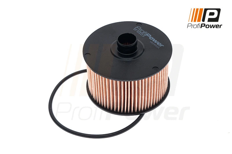 Alyvos filtras ProfiPower 1F0103