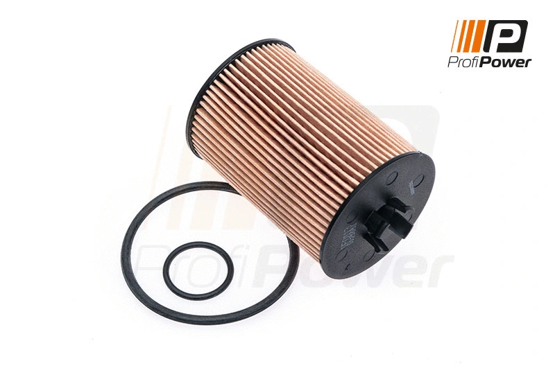 Alyvos filtras ProfiPower 1F0113