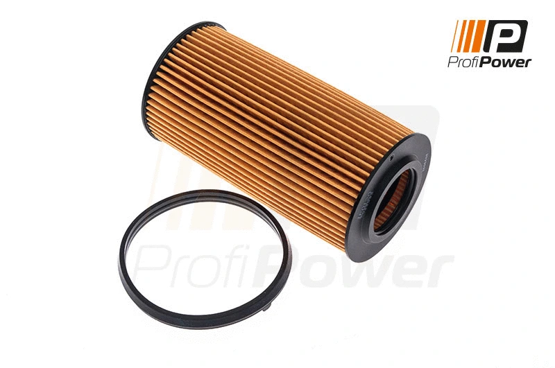 Alyvos filtras ProfiPower 1F0120
