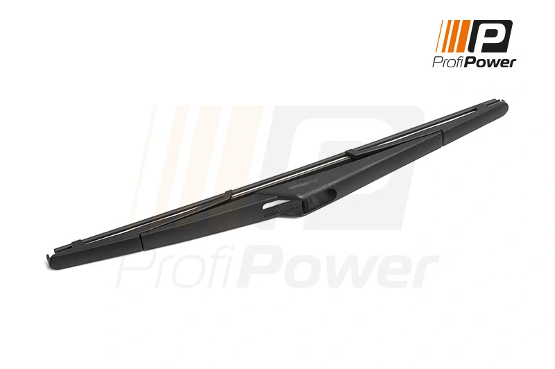 Valytuvas ProfiPower 1W2004
