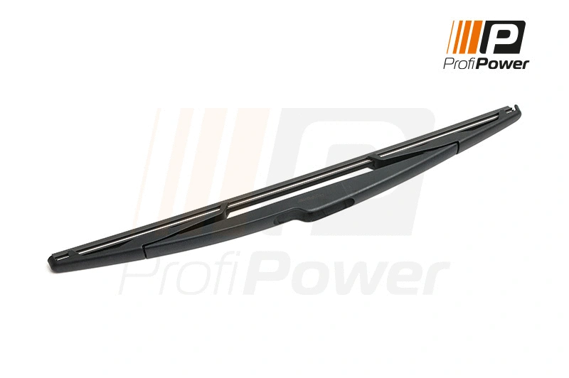 Valytuvas ProfiPower 1W2005