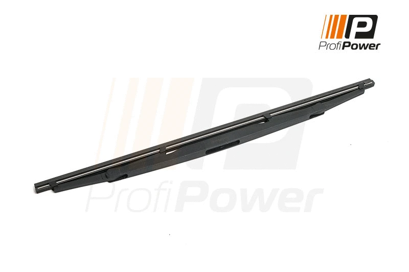 Valytuvas ProfiPower 1W2013