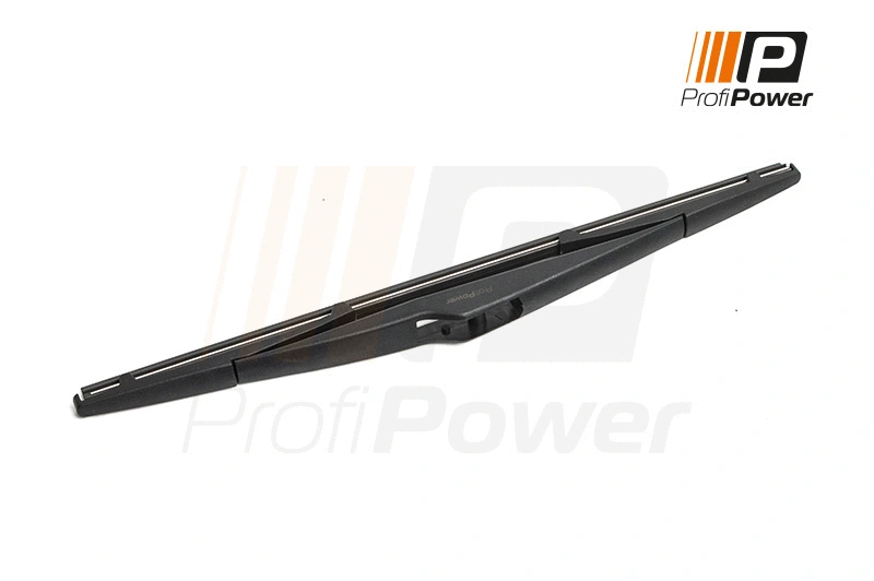 Valytuvas ProfiPower 1W2015