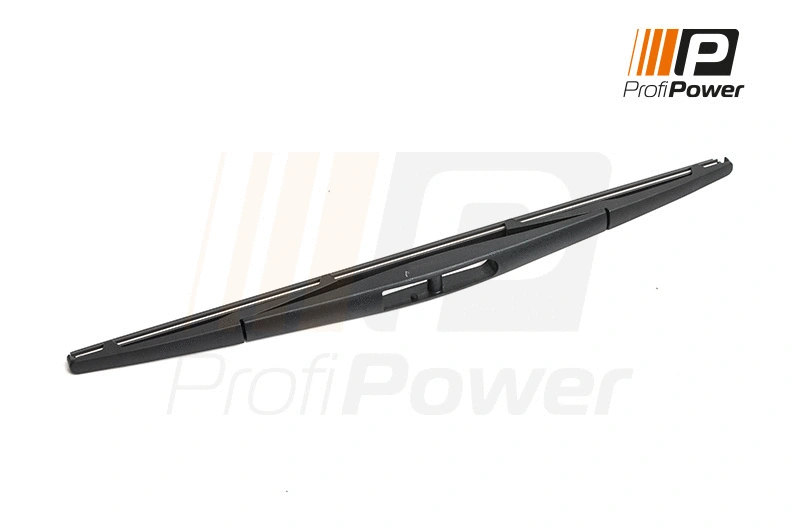 Valytuvas ProfiPower 1W2017