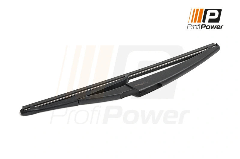 Valytuvas ProfiPower 1W2024