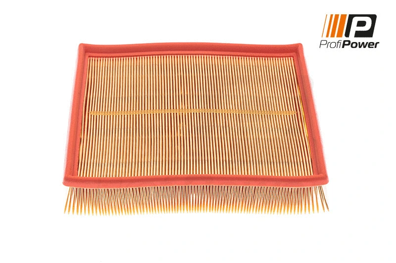Oro filtras ProfiPower 2F0002
