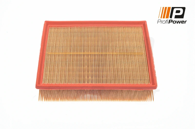 Oro filtras ProfiPower 2F0007