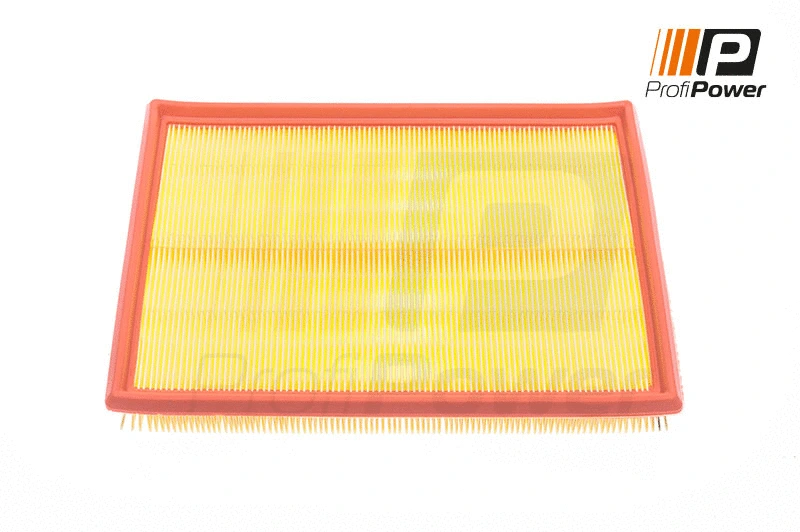 Oro filtras ProfiPower 2F0012
