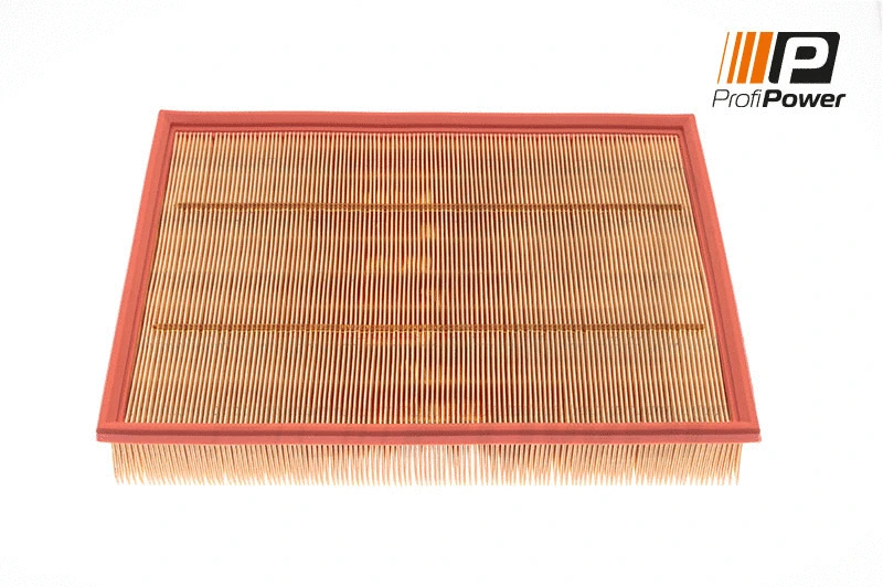 Oro filtras ProfiPower 2F0015