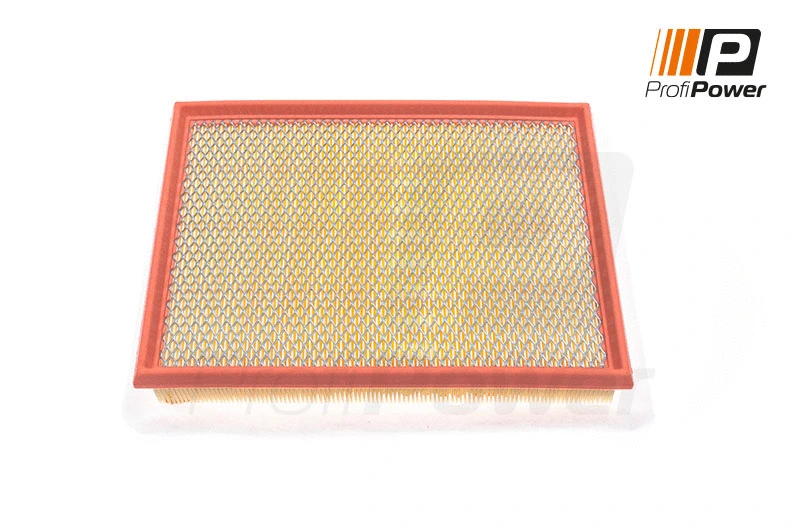 Oro filtras ProfiPower 2F0016