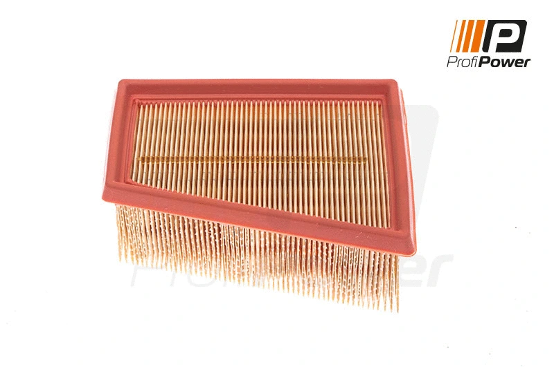 Oro filtras ProfiPower 2F0017
