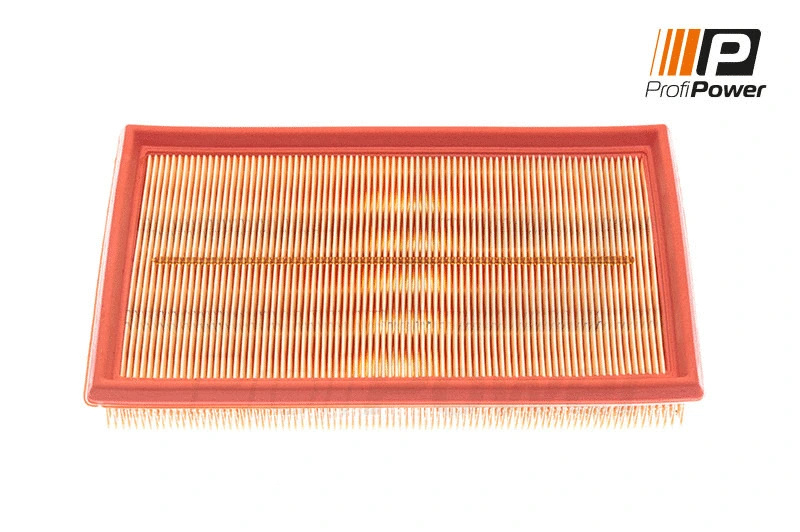 Oro filtras ProfiPower 2F0019