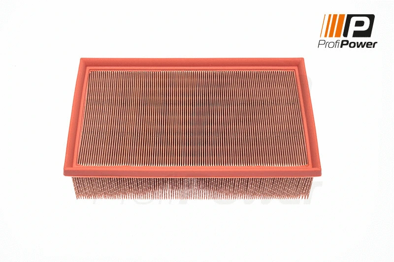 Oro filtras ProfiPower 2F0020