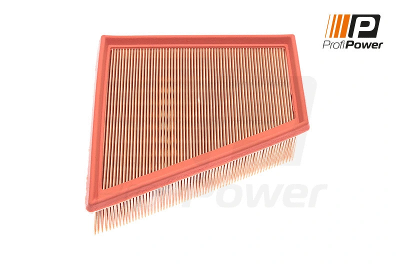 Oro filtras ProfiPower 2F0021