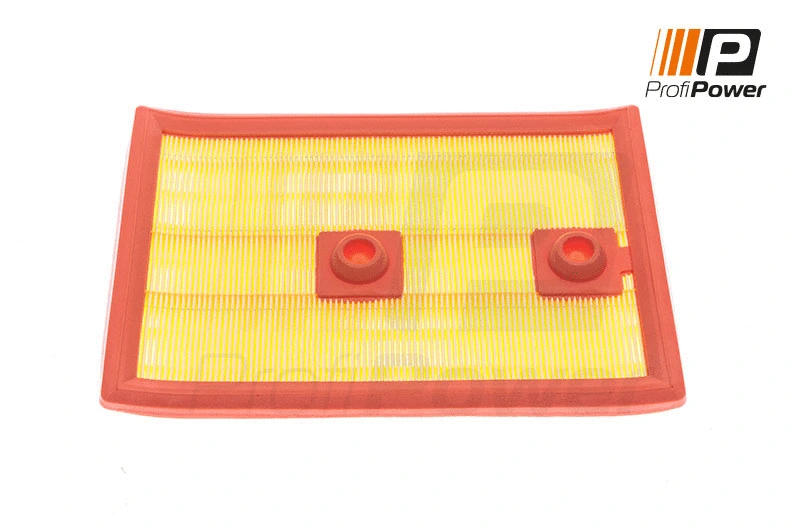 Oro filtras ProfiPower 2F0022