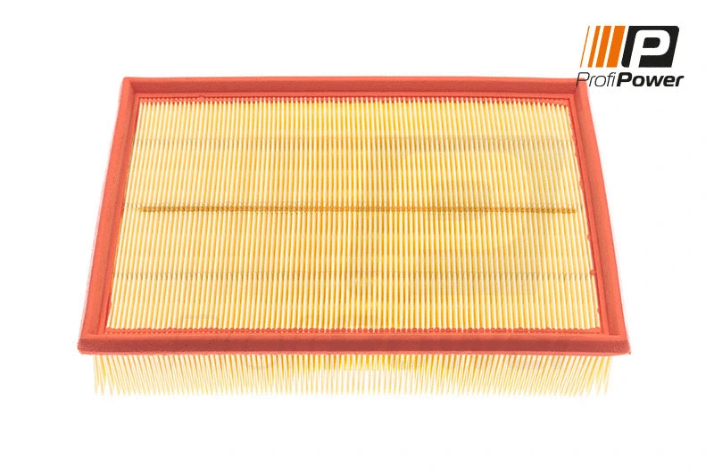 Oro filtras ProfiPower 2F0025