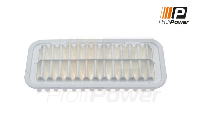 Oro filtras ProfiPower 2F0027