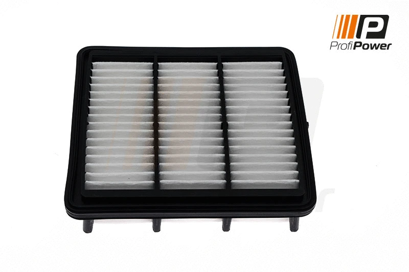 Oro filtras ProfiPower 2F0030
