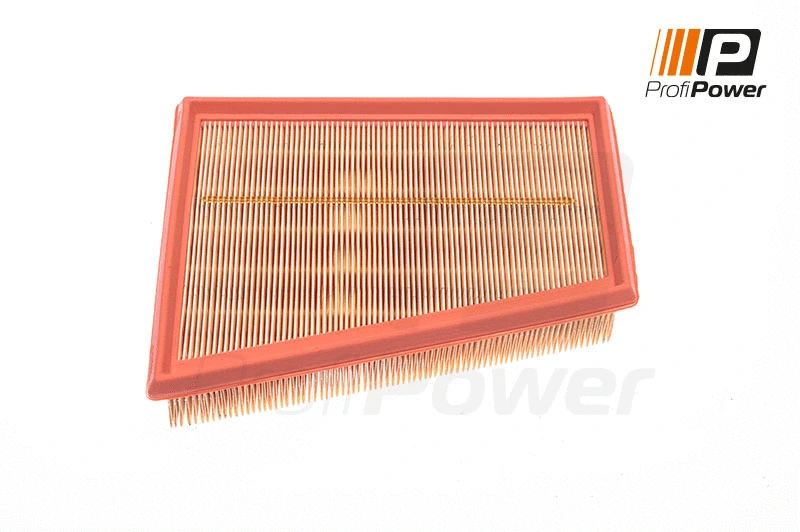 Oro filtras ProfiPower 2F0033
