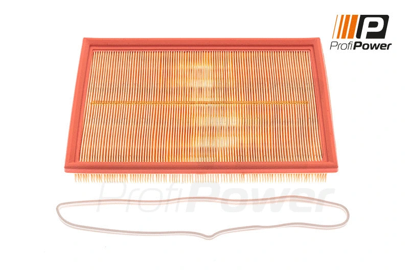 Oro filtras ProfiPower 2F0034